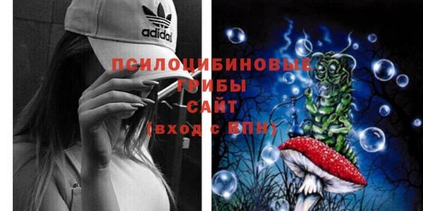 МДМА Горнозаводск
